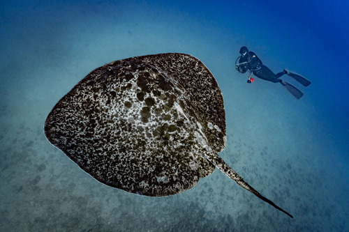 cda3cfc1903611615e1c2f10489806be_2 민경호 MKH08368.jpg